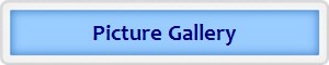Picture Gallery